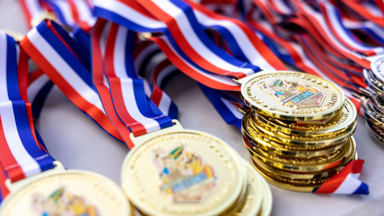 Programme & Activités